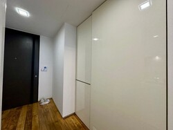 Skysuites@Anson (D2), Apartment #490336011